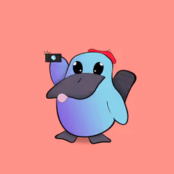 PP #509