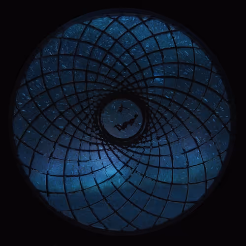 Nocturnal Confessions
