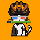 Cat #1111