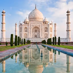 Item #1810413438 Media