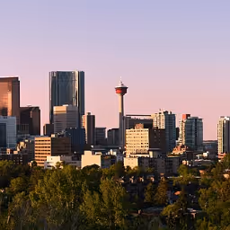 Item #1436954338 Media