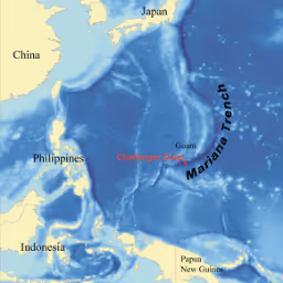 Item #2010899814 Media