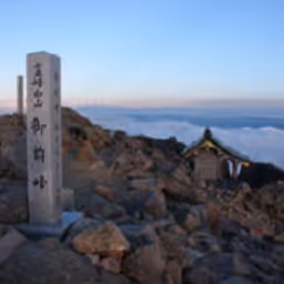 Item #1684332866 Media