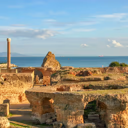 Item #1673955159 Media