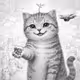 Ethos Meow Meow #3380