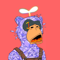 Trippin Okay Bear #2514