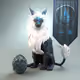 1514