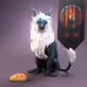 7855