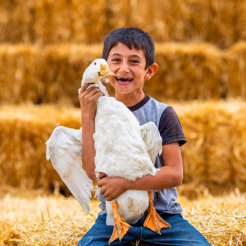 Happy people stories