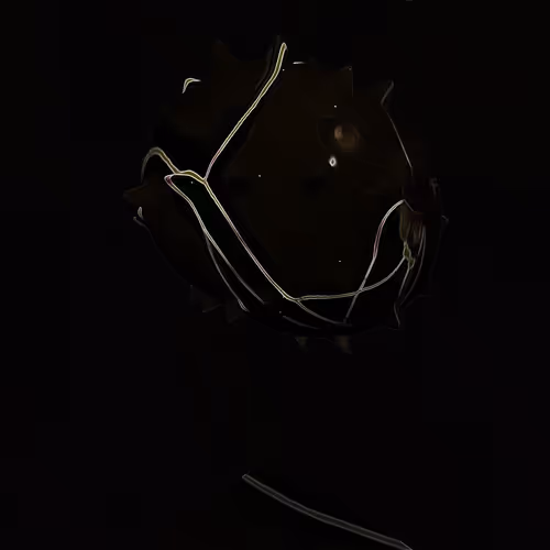 Item #74 Media