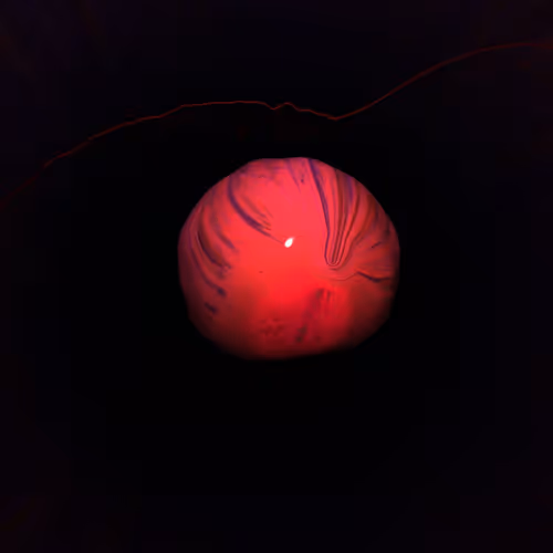 Object #799