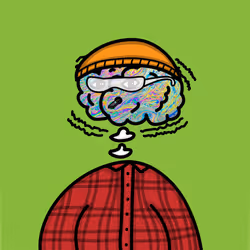 31