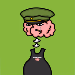 Insane Brains #10