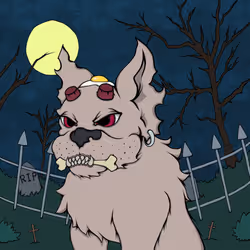 223