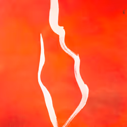 26