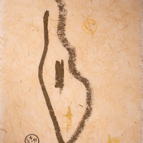 41