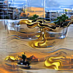BonzAI #573