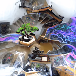 BonzAI #851