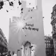 Les Drones de la Banlieue