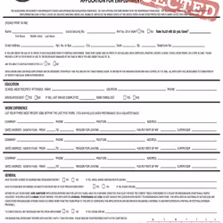 Burger King Application #338