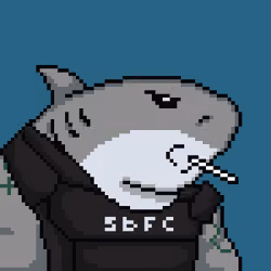 SBFC #8559