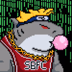 SBFC #4526