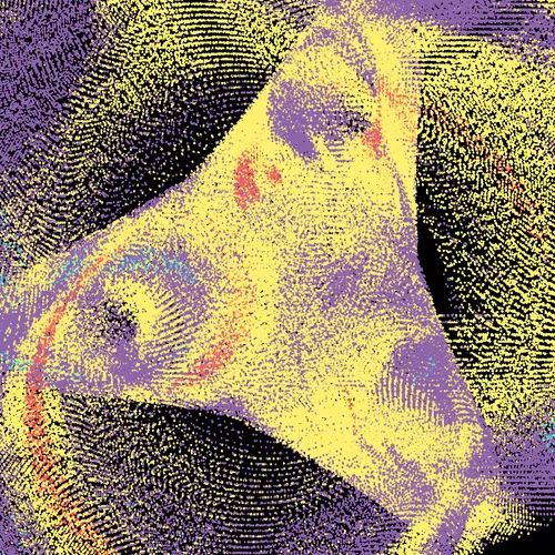 37