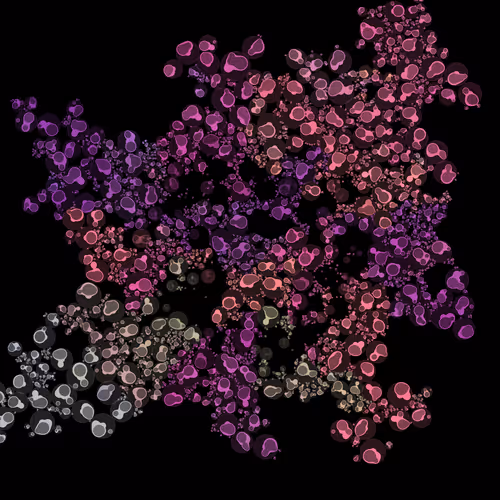 Circle Of Life by R1B2