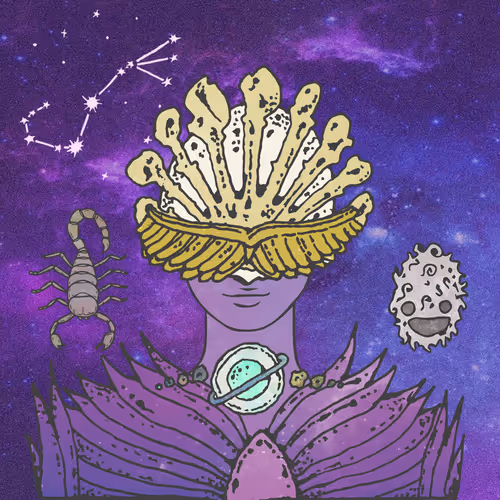 Divine Zodiac