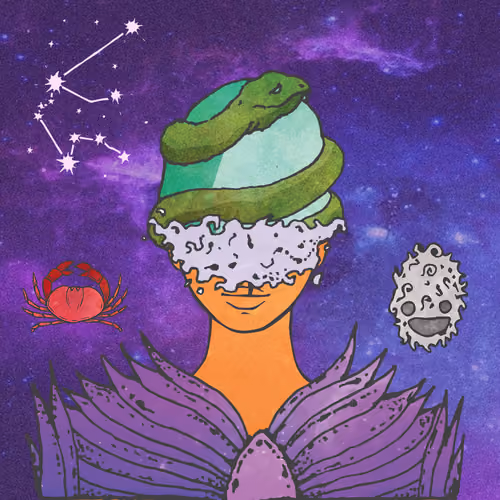 Divine Order of the Zodiac #4219