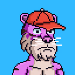 2080
