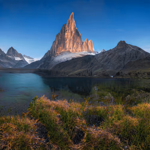The Metascapes