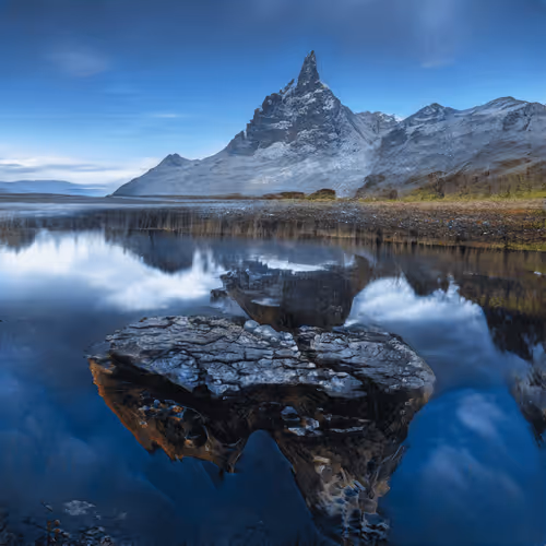 The Metascapes