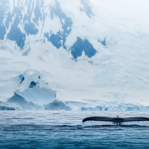 Photography by Rachel Suzanne Tien Wood