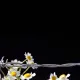 98