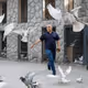 Pigeon Fanciers
