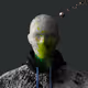 6231