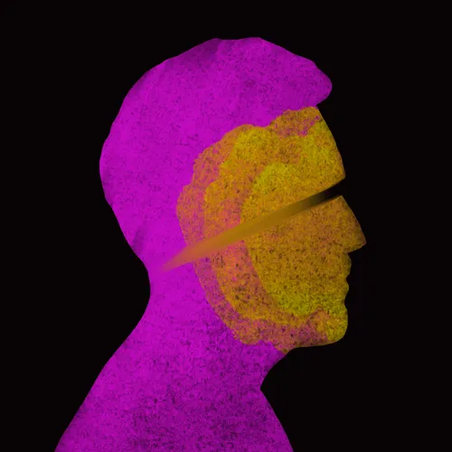 Item #17 Media