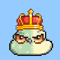 POOBIRD #1111