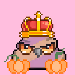 POOBIRD #663