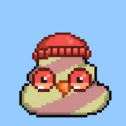 POOBIRD #1581