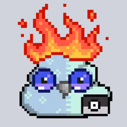 POOBIRD #4777