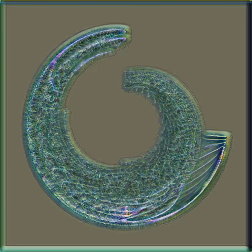Petri #276