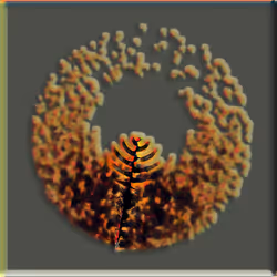 Petri #1458