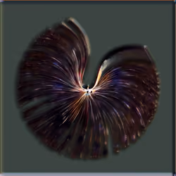 Petri #1388