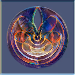 Petri #808
