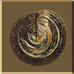 Petri #1352