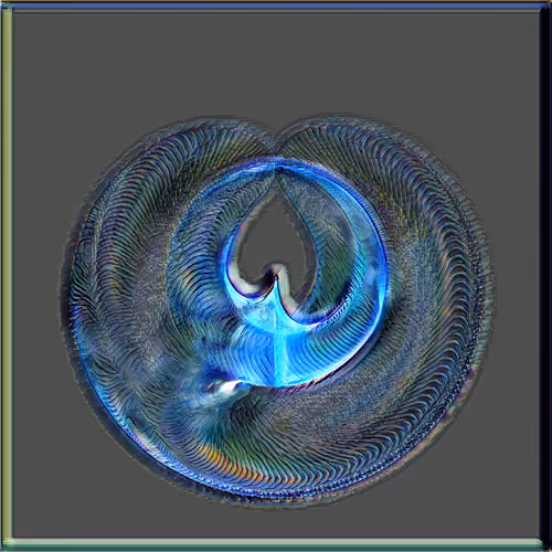 Petri #363