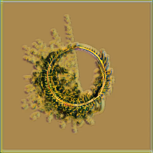 Petri #493