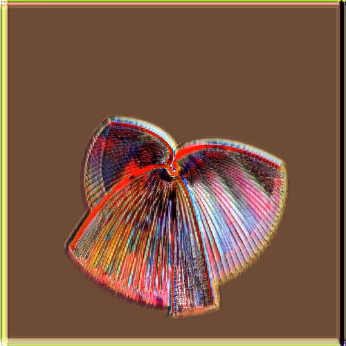 Petri Collection